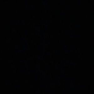 Meet your Posher, Emanuel